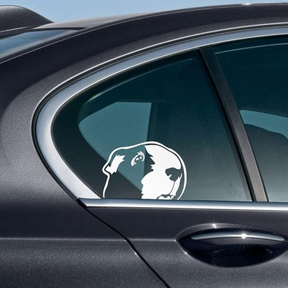WIRESTER 6 inch Clear Vinyl Decal Sticker Decoration for Car Window (Or Any Flat Surface) - Guinea Pig