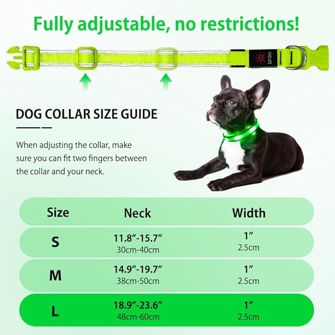 Illumifun Light Up Dog Collar - USB Rechargeable LED Dog Collar Glow in The Dark - High Visibility Glow Collar Light for Nighttime Walking (Large, Fluorescent Green)