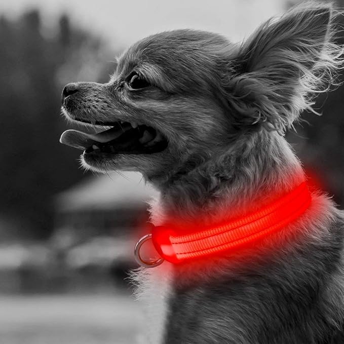 BSEEN LED Dog Collar - Rechargeable Light Up Dog Collar for Small Dogs& Cats, Reflective Adjustable Puppy Collar Safety Dog Lights for Night Walking (Red, XS)