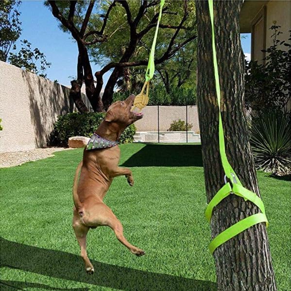 Dog Bungee Tug Toy, Hanging Tether Tug of War for Various of Dogs to Exercie and Play, Outdoor Retractable Dog Rope with Cotton Chew Toy (Green Strap)