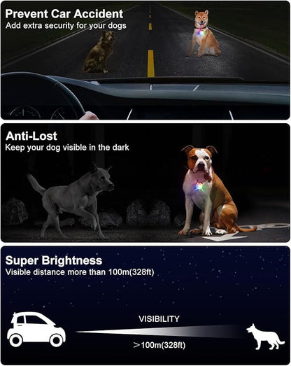 2 Pack Dog Collar Light, 4 Modes Clip On Dog Lights for Night Walking, Glow in The Dark LED Pet Collar Charm, Rechargeable Pet Camping Essentials for Nighttime Running, Cycling, Hiking(Black)