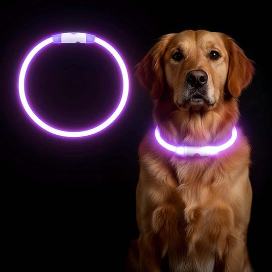 Rechargeable Reflective Pet Gear LED Dog Collar Light Up, Flashing Glowing Illuminated Collar for Night Walking, Neon Pet Collar with Light for Small/Medium/Large Dogs (Purple, 1-Pack)