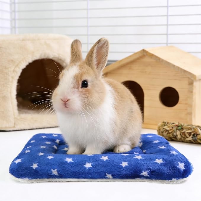 Guinea Pig Bed, 2 Pack (12x10 Inch) Soft Plush Small Animal Bed Mat, Washable Bedding Blanket Sleeping Warm Pad for Bunny, Rat, Ferret, Chinchilla