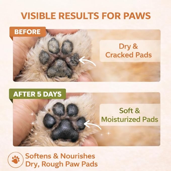 Dog Paw & Nose Balm Stick for Dogs & Cats, 2 Pack 1.41oz/40g, Mess-Free Lick-Safe Paw Wax for Hot Pavement & Winter Salt/Snow, Moisturizes Dry, Cracked Paws & Noses, Beeswax Olive Oil VIT E