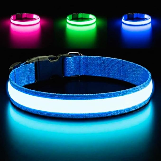 Light Up Dog Collar – Reflective, Adjustable & Rechargeable Electronic Glow Pet Collars – Bright, Comfortable, High Visibility LED Dog Collar for Night Safety, Outdoor Walk & Flashing Fun, Blue, Small