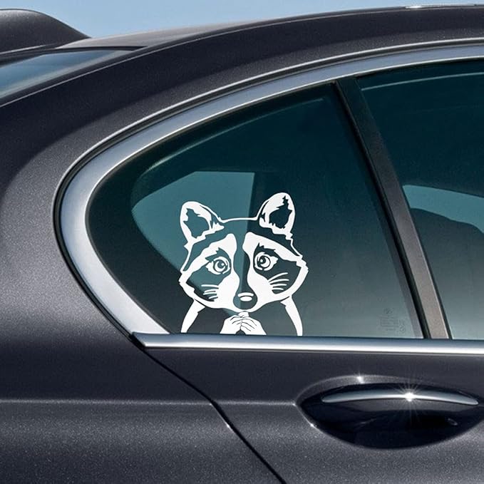 WIRESTER 6 inch Clear Vinyl Decal Sticker Decoration for Car Window (Or Any Flat Surface) - Common Raccoon