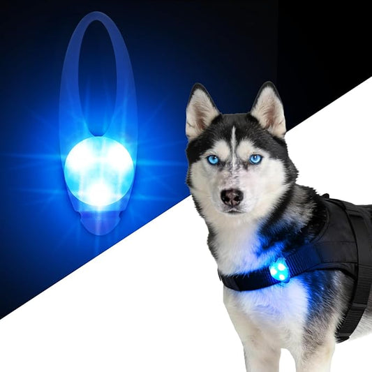 LaRoo LED Dog Collar Light - Waterproof Clip-On 3 Modes, High Visibility for Night Walking/Camping, Pet Safety Light for Small/Medium/Large Dogs (Blue)