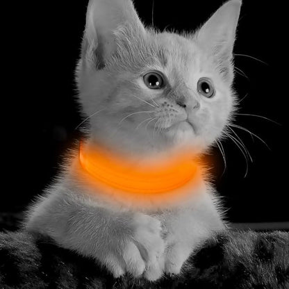 BSEEN Light Up Dog Collar, Reflective LED Dog Collar Rechargeable Glowing Puppy Collar for Puppies & Cats，Safety Dog Lights for Night Walking (Orange)