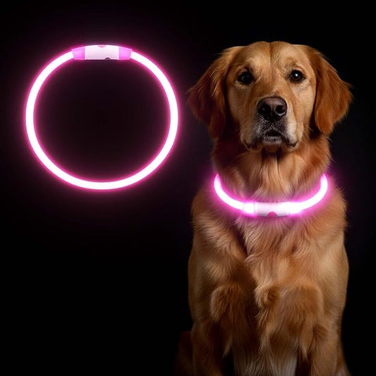 Rechargeable Reflective Pet Gear LED Dog Collar Light Up, Flashing Glowing Illuminated Collar for Night Walking, Neon Pet Collar with Light for Small/Medium/Large Dogs (Pink, 1-Pack)