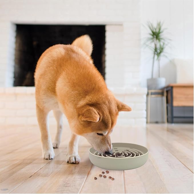 Slow Feeder Dog Bowls, Interactive Silicone Dog Feeding Bowls for Dogs & Cats, Slow Feeder Non-Slip with Suction Cups, Anti-Choking, Non BPA, Reduces Boredom, Anxiety, Dishwasher Microwave Safe