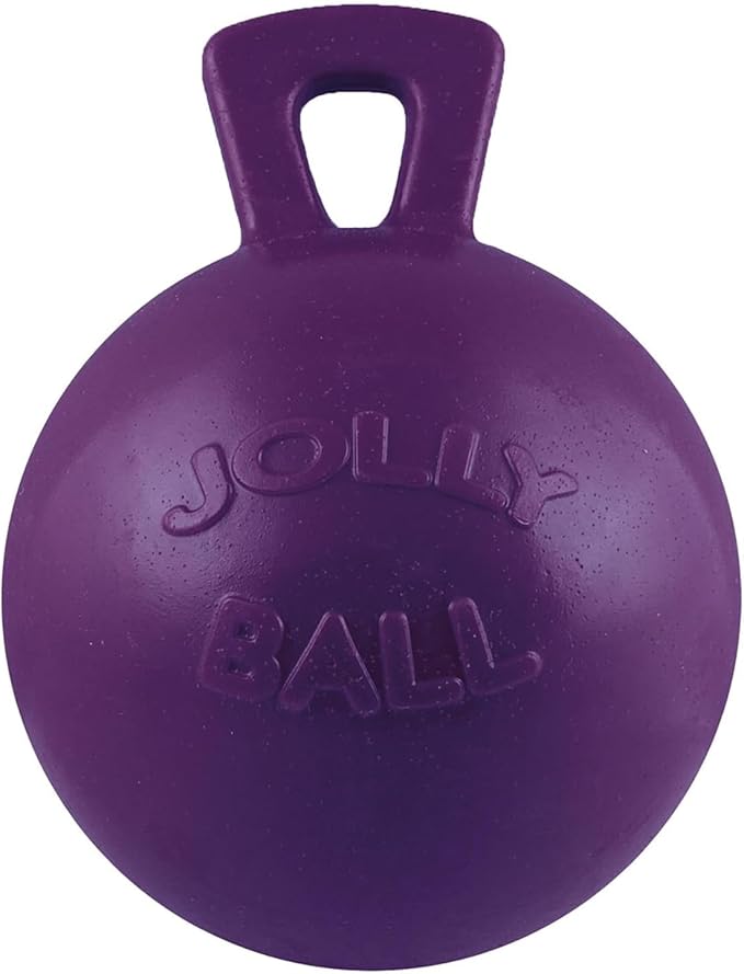 Tug-N-Toss Ball Color: Purple, Size: 6" H x 4.5" W x 4.5" D
