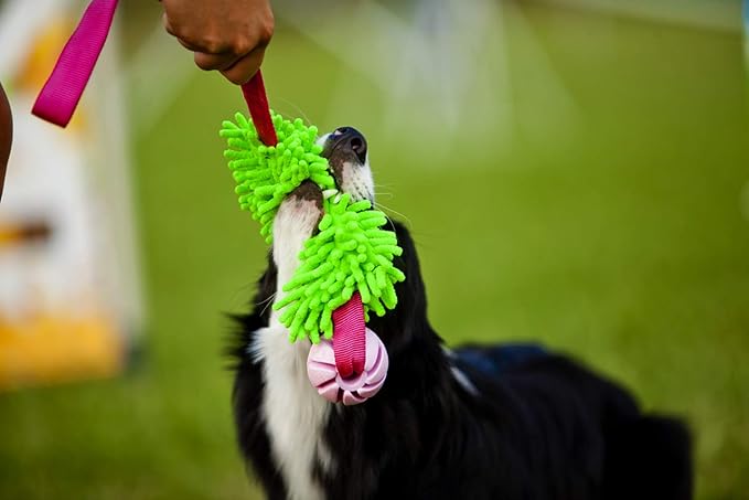 Dingo tug Toy for Dog, for Outdoor Indoor Play and tug of war, Bungee Handle, Soft Shaggy Nubby Like Plush Noodle and TPR Rubber Ball, Blue 15587