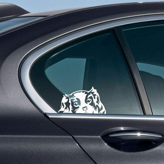 WIRESTER 6 inch Clear Vinyl Decal Sticker Decoration for Car Window (Or Any Flat Surface) - Cavalier King Charles Spaniels Dog