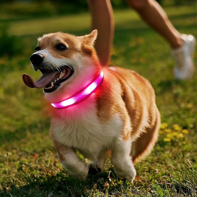 Illumifun LED Dog Collar, USB Rechargeable Light Up Dog Collar Glow in The Dark, Adjustable Safety Pet Collar for Night Walking (Small, Light Pink)