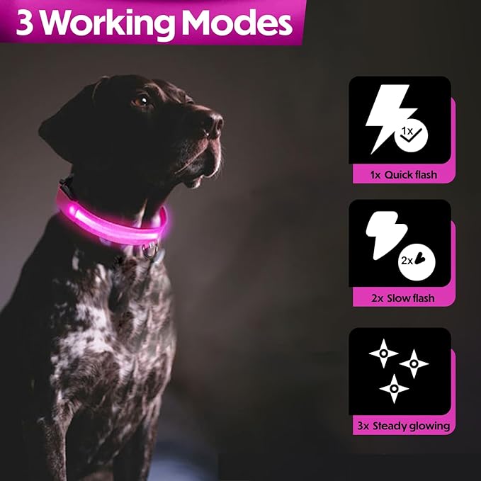 Light Up Dog Collar – Reflective, Adjustable & Rechargeable Electronic Glow Pet Collars – Bright, Comfortable, High Visibility LED Dog Collar for Night Safety, Outdoor Walk & Flashing Fun, Pink, Small
