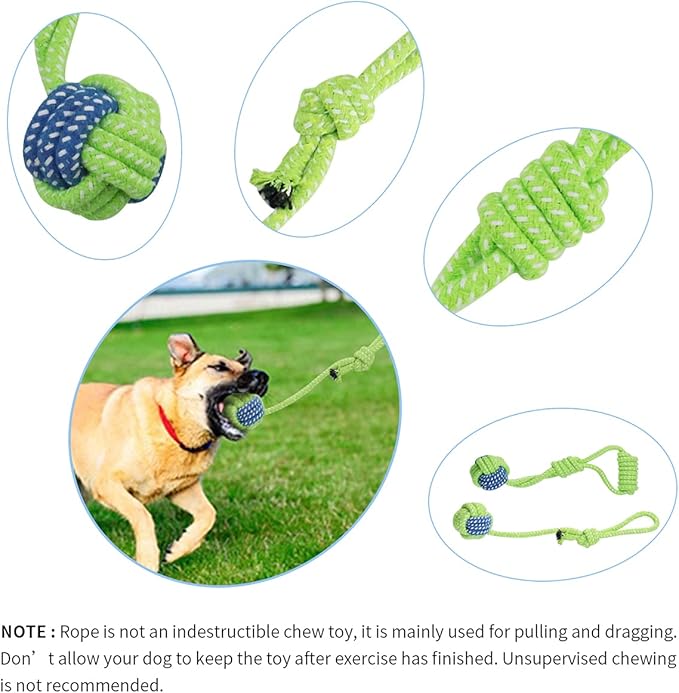 DGSL Outdoor Hanging Bungee Dog Toy - Interactive Dog Tug Toy with 2 Chew Rope Toys for Small to Large Dogs - Best for Tug of War, Bite Training, Pull Exercise, Solo Play