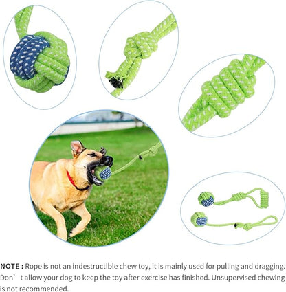 DGSL Outdoor Hanging Bungee Dog Toy - Interactive Dog Tug Toy with 2 Chew Rope Toys for Small to Large Dogs - Best for Tug of War, Bite Training, Pull Exercise, Solo Play