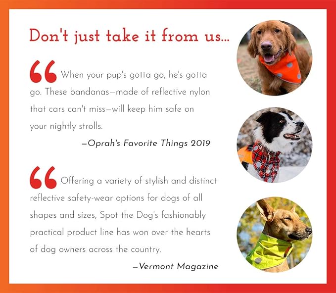 SPOT THE DOG! Reflective Dog Collar - Adjustable Pet Collars, Safe, Durable, Comfortable Dog Walking Accessories for Medium Dog, Hunting Dog, Puppy, Lightweight Boy, Girl Dog Collars (Blaze Orange, M)