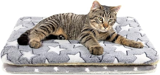 2 Pack Cat Blanket for Indoor Cats Ultra Soft and Warm Calming Cat Bed Fleece Pet Mat for Anxiety and Stress Washable Kitten Blanket