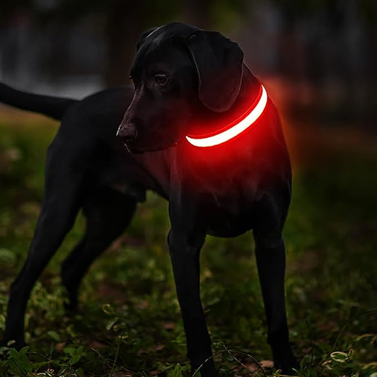 MASBRILL LED Dog Collar - Light Up, Rechargeable, Waterproof, Glow Collar for Small to Large Dogs