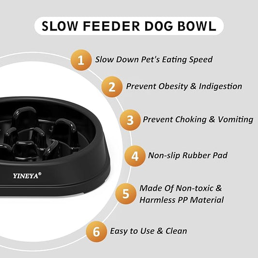 Anti-Choking Slow Feeder Dog Bowls Small Size Dog, Slow Feeder Cat Bowl, Supplies and Puzzle for Pet