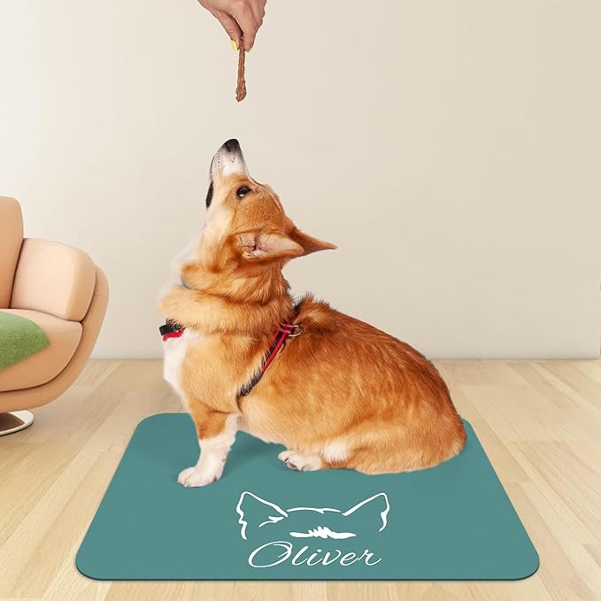 Personalized Dog Food Mats for Floors Custom Pet Placemat Mats for Food and Water Waterproof Customized Pet Food Mat with Name Gifts for Dog & Cat Owners Design 3