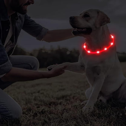 Frienda 4 Pcs Dog Collar LED USB Rechargeable Lights Dog Necklace Collars Doggy Lights for Night Walking Adjustable Safety Lamp Pet Collars for Large Medium Small Puppy(Flashing Style,4 Colors)