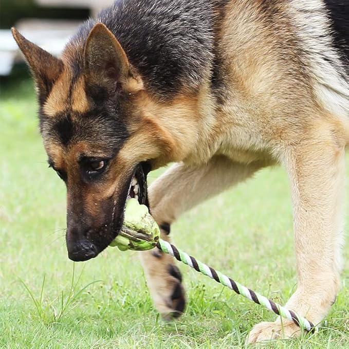 LOS ANDES Rope and Ball Dog Toy, Interactive Puppy Toy for Tug of War, Eco-Friendly Cotton Rope Toys, Medium/Small Dog Breed, Not Suitable for Dogs with Strong Aggressive Chewing