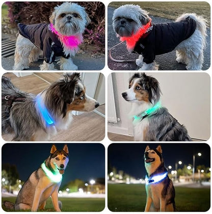 PAJ GPS – PAJ Light – Glowing LED Collar for Dogs – Cut-to-Fit (20–70 cm) – 100% Waterproof – 7 Color Modes – Night Safety & Visibility