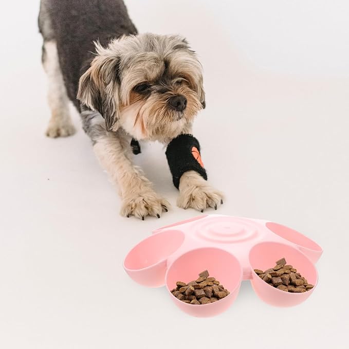 POPETPOP Cat Food Bowl with 6 Bowls - Pet Feeder for Kitten Puppy, Multi Cat Dishes, Multiple Dinner Feeder for Indoor s, Dishes for Food and Water