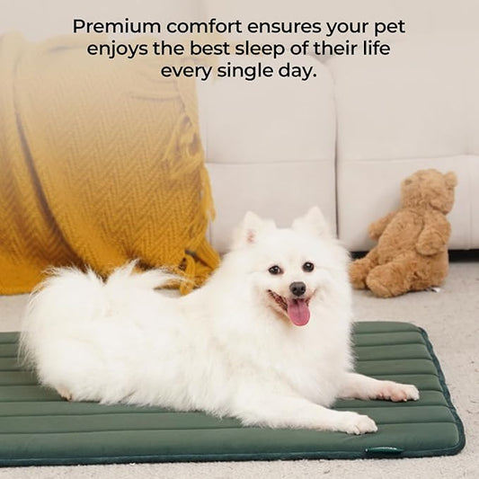 BALANCE Dog Crate Pad, Dog Foam Crate Mat Kennel Pad, Washable Water-Resistant Pet Bed Flat Dogs Cage Mat for X-Large Dogs
