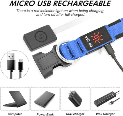 Illumifun LED Collar for Dogs, USB Rechargeable Light Up Dog Collars Glow in The Dark (Blue, Small)