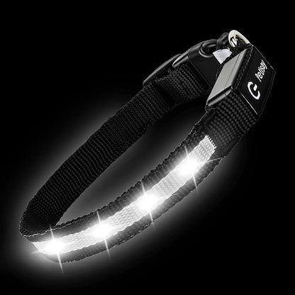LED Dog Collar for Small Dogs Cats - Fully Waterproof & Adjustable Glow Collar - USB-C Rechargeable for Night Walking, Safety - Flashing Lighted Collar for Dogs(White,XS)