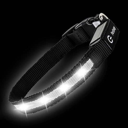 LED Dog Collar for Small Dogs Cats - Fully Waterproof & Adjustable Glow Collar - USB-C Rechargeable for Night Walking, Safety - Flashing Lighted Collar for Dogs(White,XS)