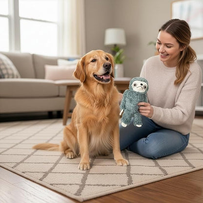 SPOT Fun Sloth Dog Toy - Soft, Stuffed, Squeaky, Plush Fabric Toy for Medium and Large Dogs and Puppies, Enrichment for Light Chewers and Cuddlers, 13in