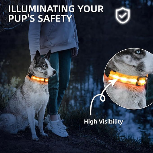 Super Bright LED Dog Collar - Fully Waterproof & Adjustable Glow Collar - USB-C Rechargeable for Night Walking, Safety - Flashing Lighted Collar for Dogs(Orange,M)