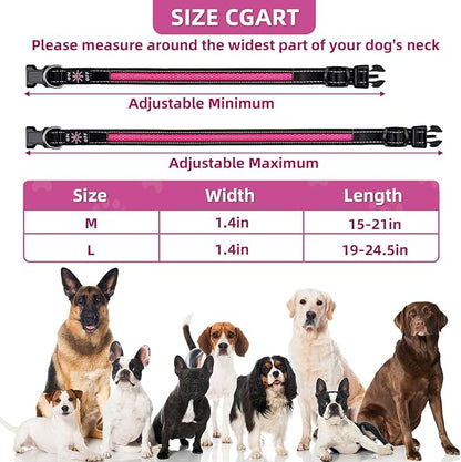 Light Up Dog Collar: Rechargeable Waterproof Safety Pet Accessories - Glow in The Dark Dogs Collars for Night Walking - Best Flashing Neon Pink Lights and Glowing Lighted Gear in Nite Time