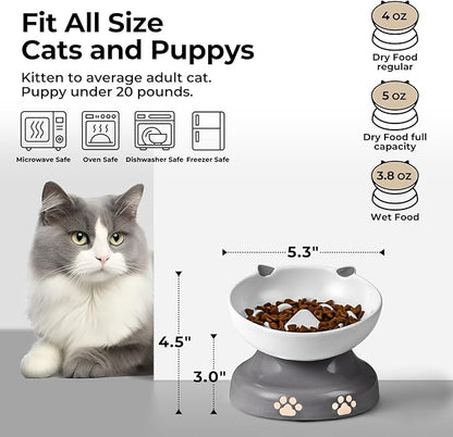 Y YHY Slow Feeder Cat Bowl, Ceramic Elevated Cat Bowl Tilted Design Slow Feeder for Dog and Cat for Dry and Wet Food, Gray