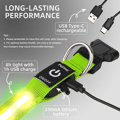 Super Bright LED Dog Collar - Fully Waterproof & Adjustable Glow Collar - USB-C Rechargeable for Night Walking, Safety - Flashing Lighted Collar for Dogs(Green,L)