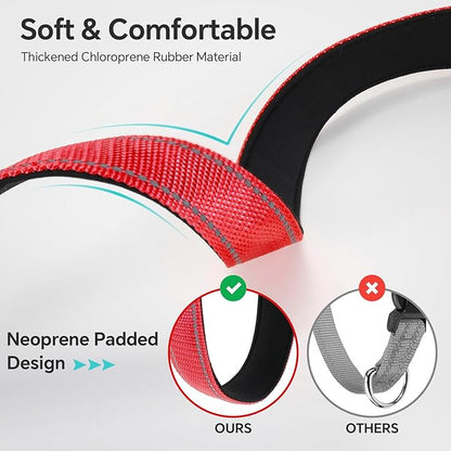 Reflective Dog Collar with Quick Release Buckle - Metal Ring - Adjustable Soft Neoprene Padded Basic Dog Collar for Small Medium Large Dogs (Red, Medium :Width 1",Neck 13.8-19.6")