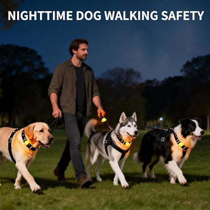 LaRoo Dog Lights for Night Walking, LED Dogs Collar Lights for Nighttime Clip On Light up Dog Collar Pet Camping Essentials （Orange）
