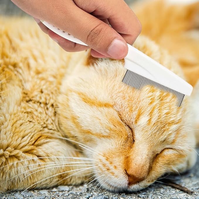 2 Pack Multifunctional Pet Comb, Upgrade Pet Grooming Brush Fine Magic Tear Stain Removal, Fine-Tooth Stainless Massage Comb Kit for Small Puppies and Dogs (Yellow)