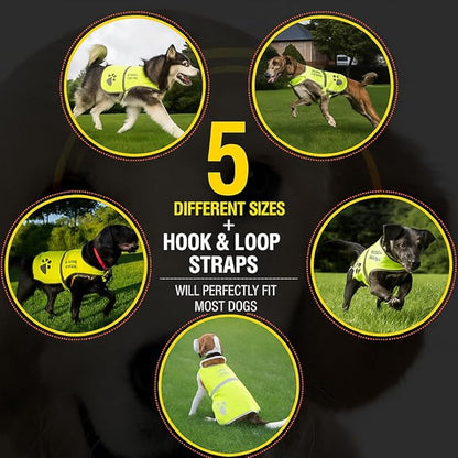 Safety Reflective Vest for Dogs - High Visibility for Outdoor Activity Day and Night, Protect Your Pet from Cars & Hunting Accidents