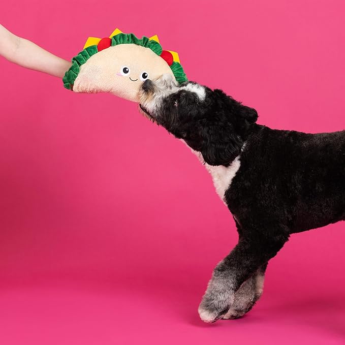 Fringe Studio Large Plush Dog Toy, FANTAS-Taco!, 16.5" Wide x 9" Tall, Pet Shop Collection (728023)