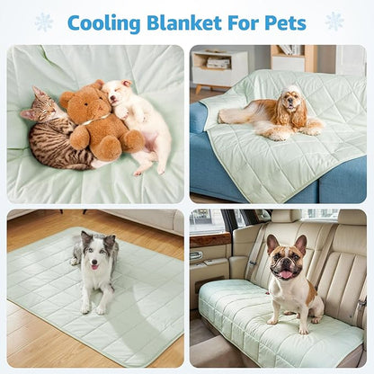 PICK FOR LIFE Cooling Blanket for Dogs, 0.4 Q-MAX Pets Cooling Comforter for Bed Cover, Summer Blanket for Large Dogs Washable, Soft Lightweight Cold Mats for Pet Hot Weather Sleeping (48"×62"/Green)