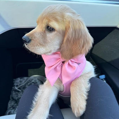 Maca Bates Cherry Pink Dog Collar with Cute Solid Sailor Bow Tie for Large Girl Boy Dogs,Girly Adjustbale Durable Breakaway Soft Collars with Bowtie for Female Male Puppy,Pet with Metal Buckle