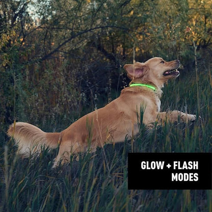 Nite Ize NiteHowl Rechargeable LED Safety Necklace - Dog Light for Dog-Walking Gear - Weather-Resistant Design - 5 Hours Runtime - Cut to Fit from 12” to 27” - Green