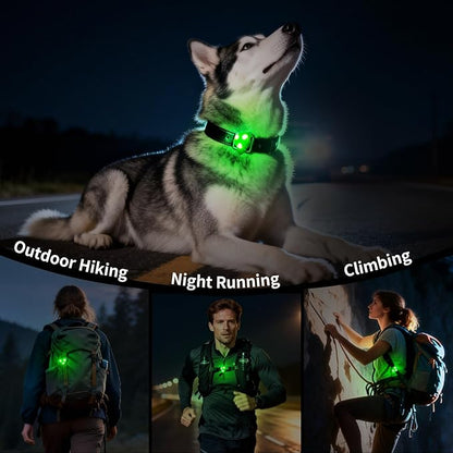 LaRoo LED Dog Collar Light - Waterproof Clip-On Night Walking Light with 3 Modes, High Visibility for Small/Medium Dogs,Pet Nighttime Running Camping Essentials (Green)