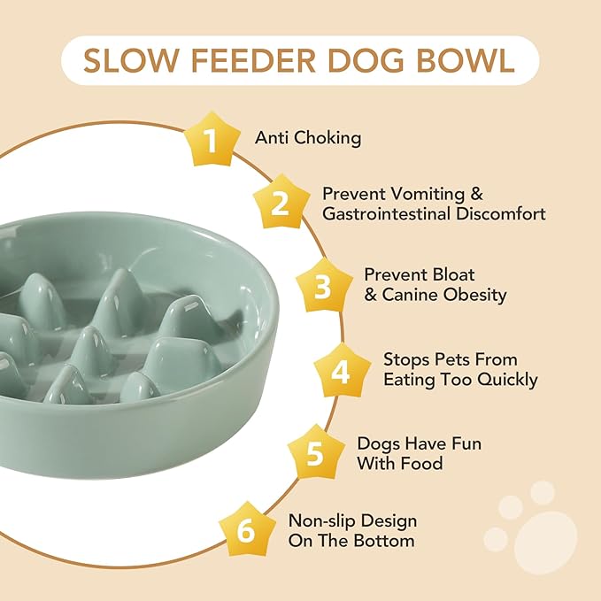 Ceramic 1.2 Cup Dog Raised Slow Feeder Set, Elevated Bowl with Wooden Stand for Medium and Small Dog, 7.3inch Slow Feeder Dish for Fast Easters(Light Green, Single Bowl+ Stand)