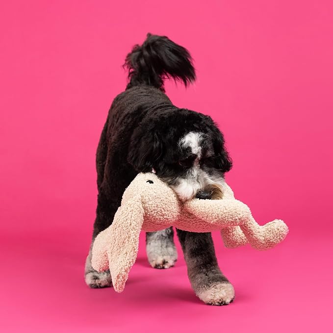 Fringe Studio Large Plush Dog Toy, Hoppy to See You, 19" Tall x 13" Wide, Pet Shop Collection (728034)